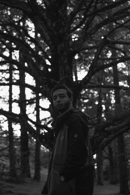 a person stands near a tree in a dark forest