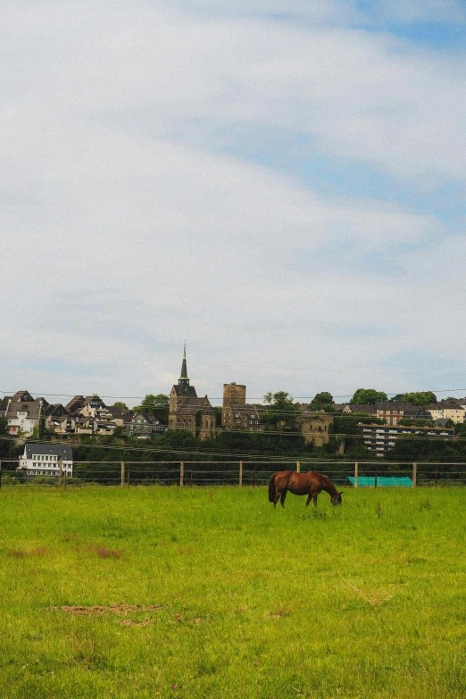 some horses grazing in a field of green grass with a city in the background
