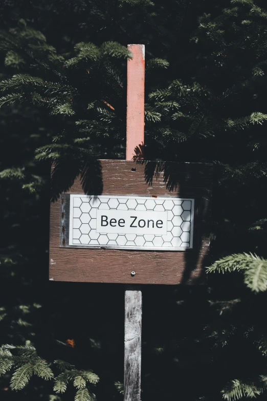 a wooden street sign in the middle of some trees