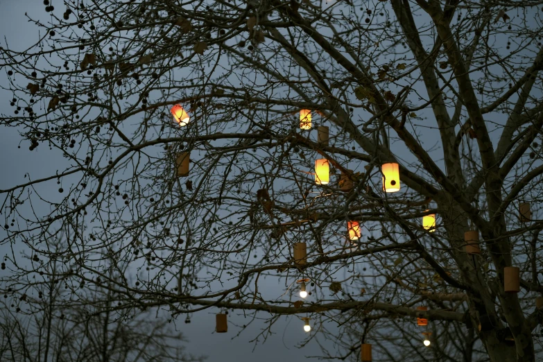 a tree with lots of lanterns hanging from it