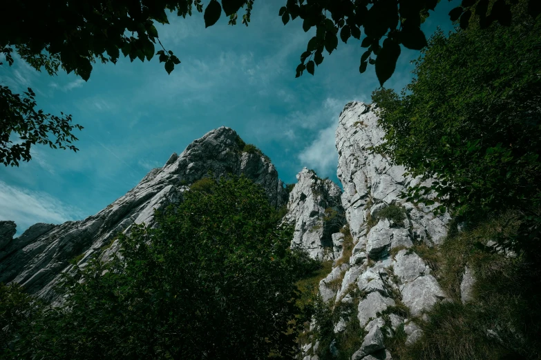 the view of the rock faces through the trees