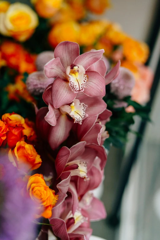 a group of flowers in purple vases next to each other