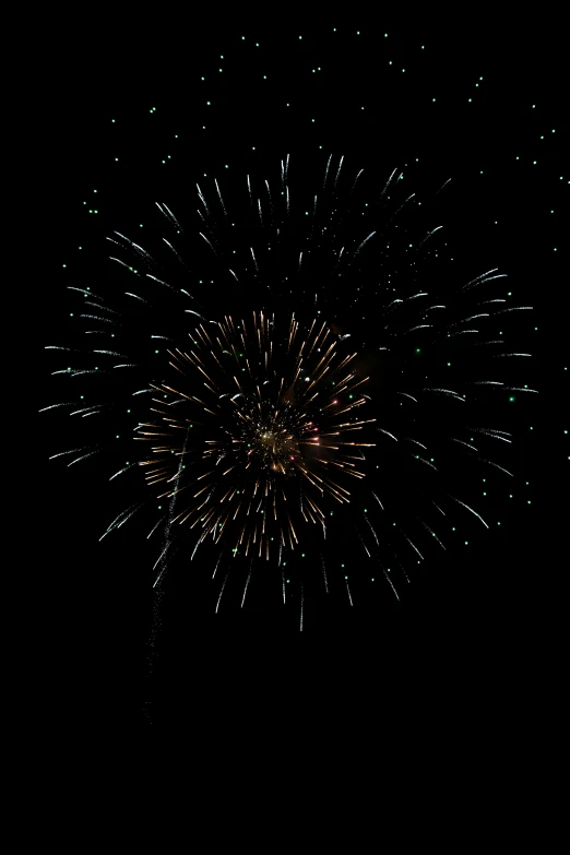 black and white fireworks exploding against the sky
