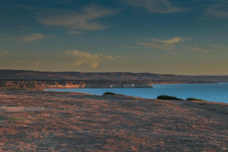 two horses stand in the desert on the shore of a large body of water