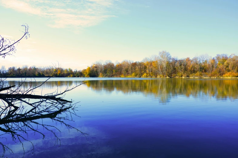 a lake that has trees and some water