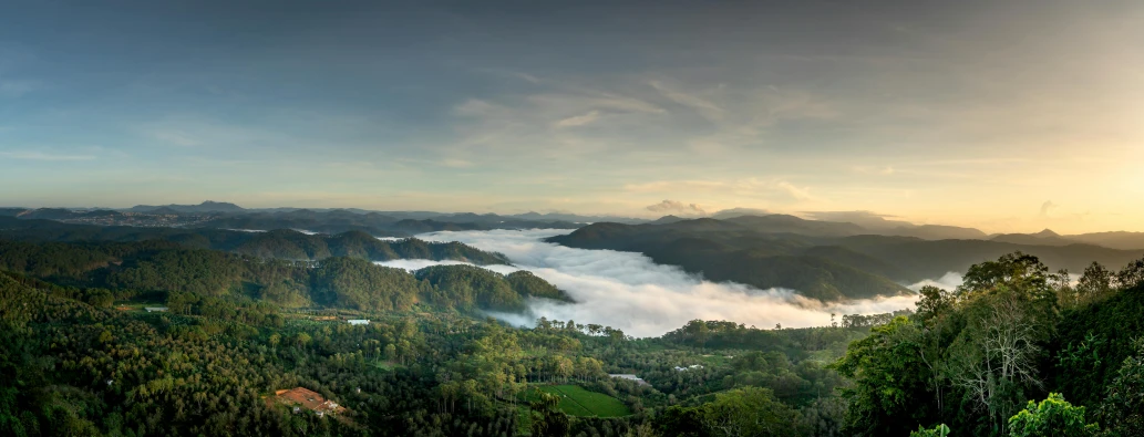 a foggy, valley that is surrounded by many trees