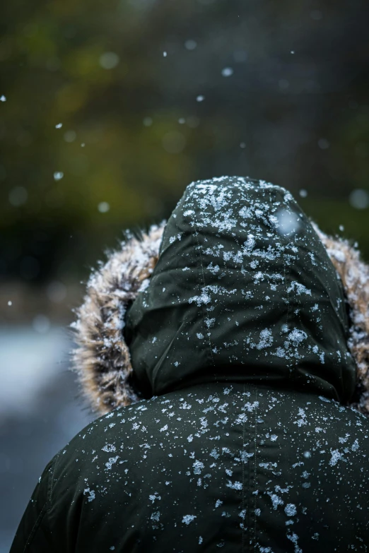 a person wearing winter clothes walking down the street with their back to the camera