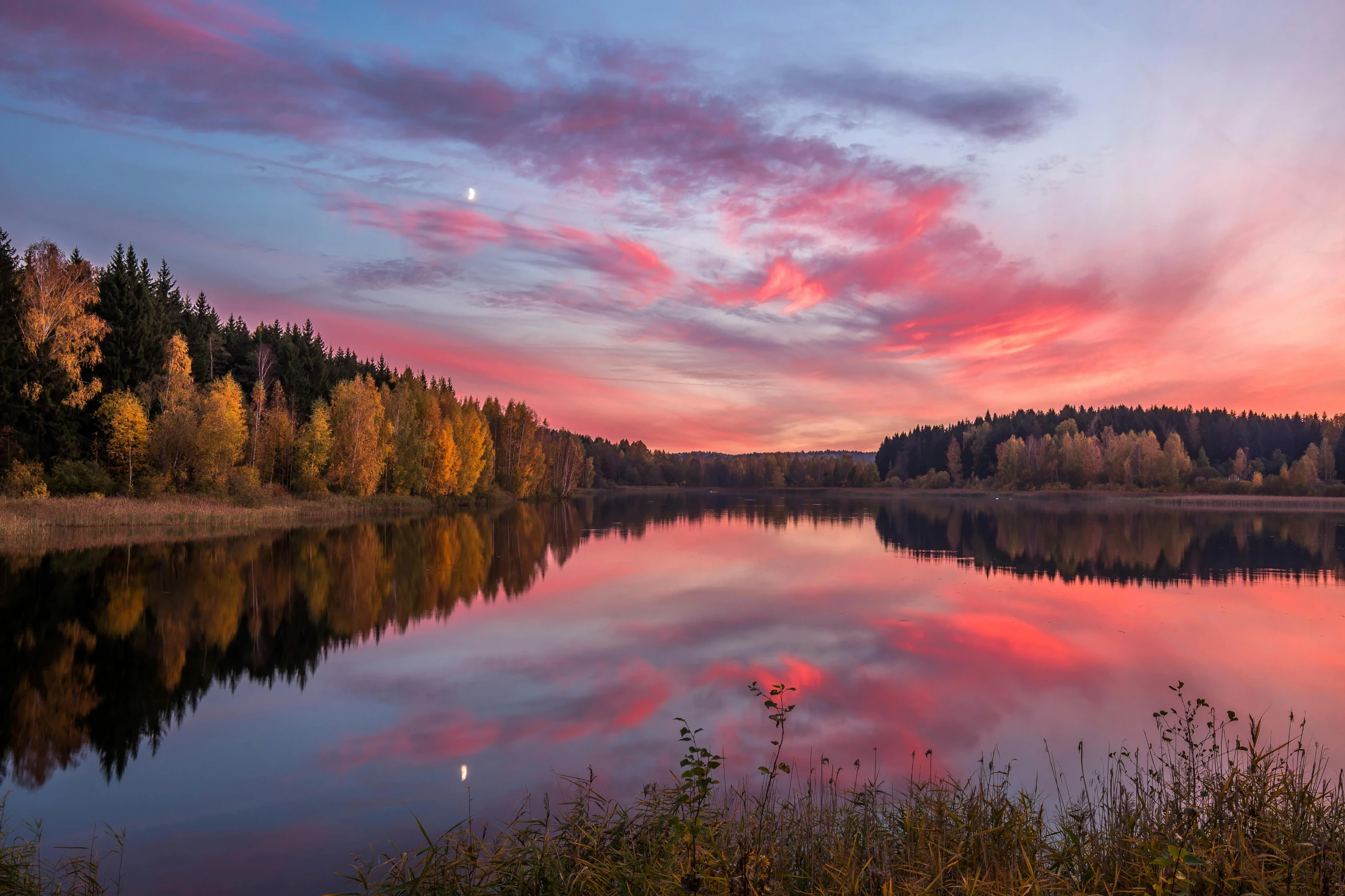 a calm lake filled with lots of water and trees