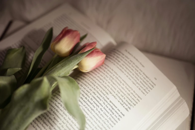 two flowers sit on top of an open book