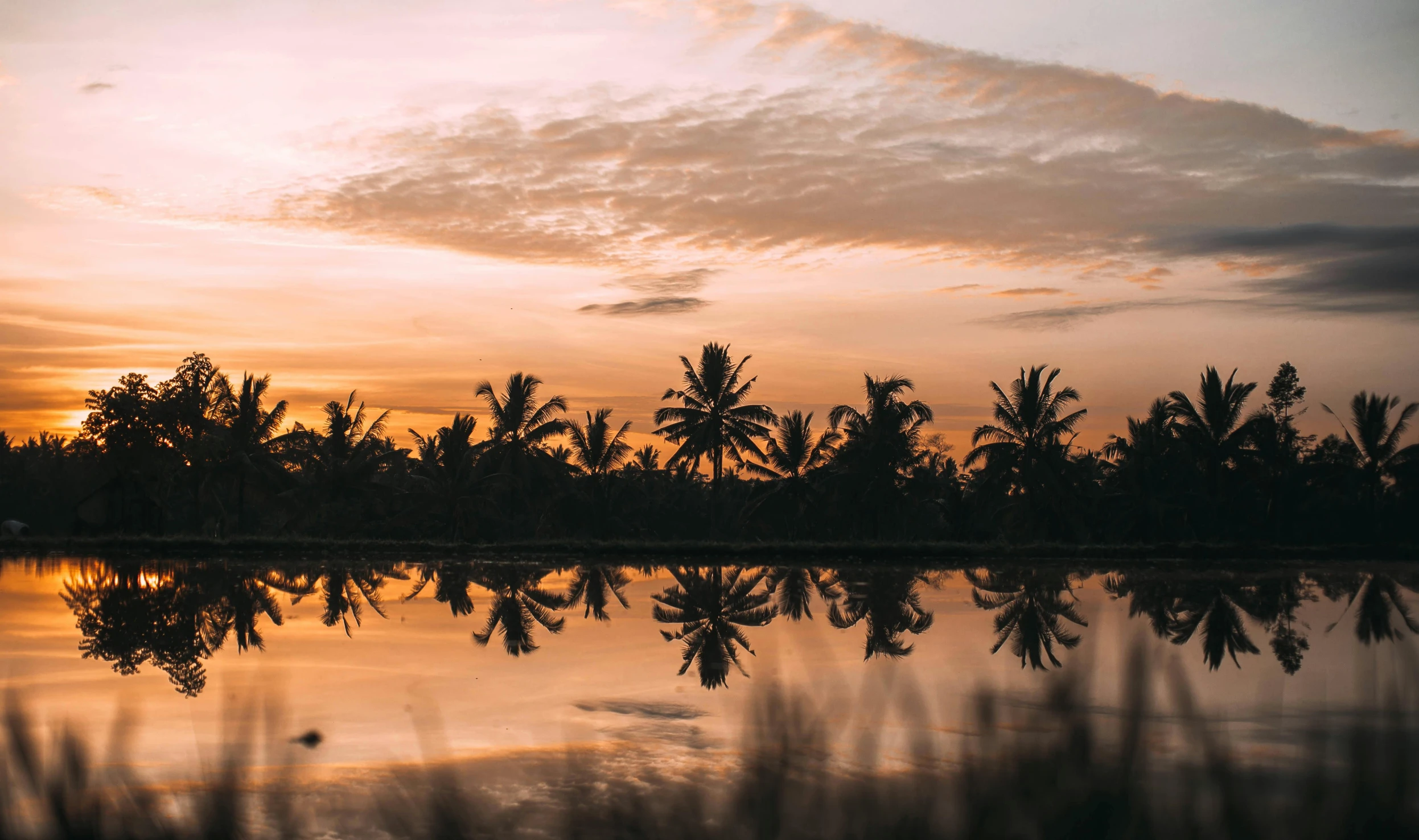 the reflection of the sunset in a river of trees