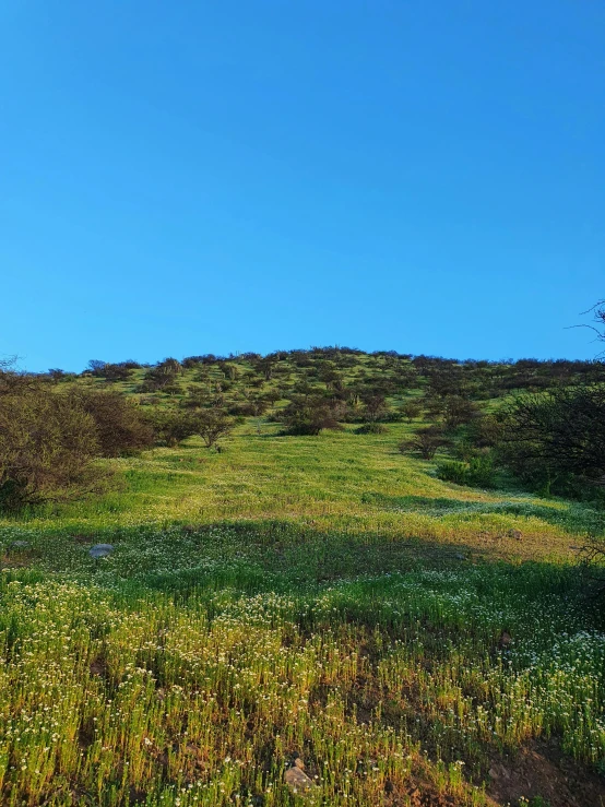 a view of a hill that has grass on it