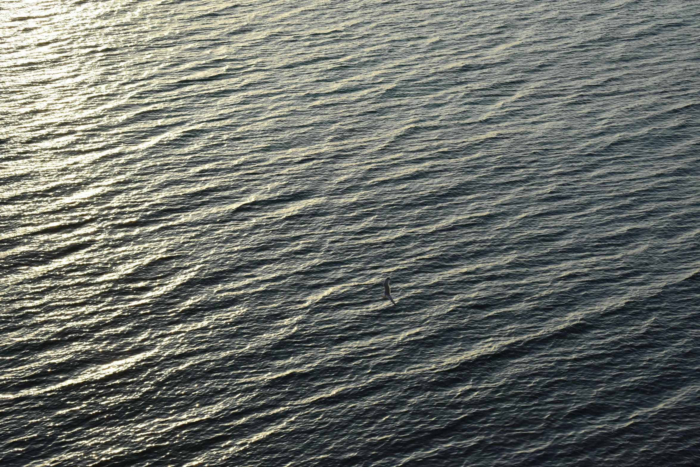 a large body of water with waves on it