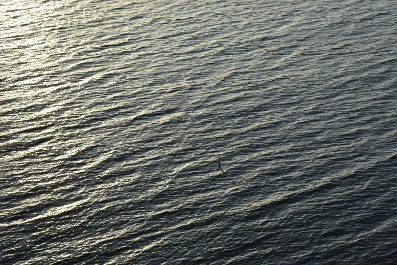 a large body of water with waves on it