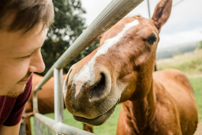 the young man is leaning over the gate to pet the horse