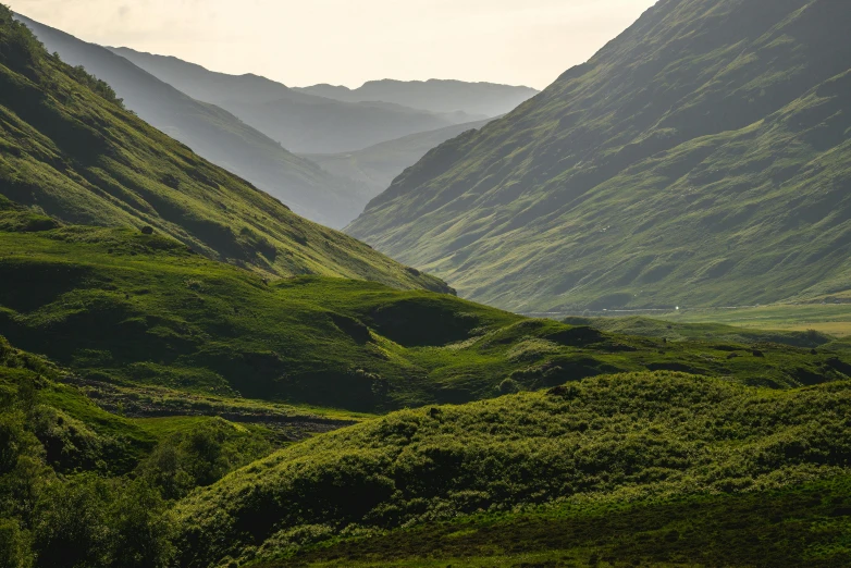 a wide mountain range with green grass and trees