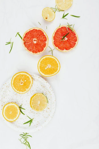 citrus fruit arranged on plate next to lemon slices