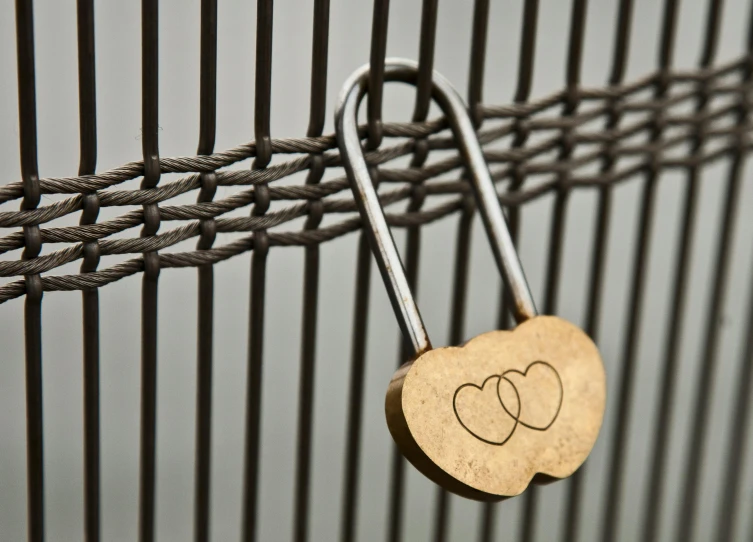 two hearts attached to a metal gate with two key chains