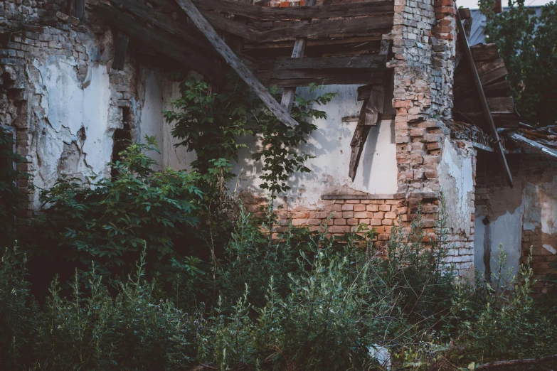 a broken down building sitting next to some plants