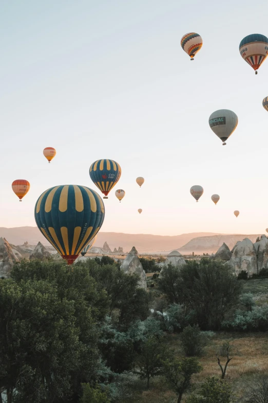 a field full of  air balloons in the sky