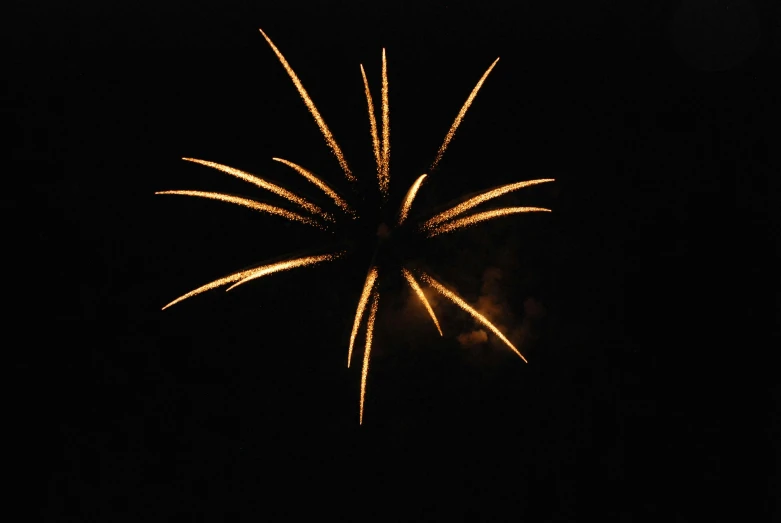 firework with green flames and gold in black sky