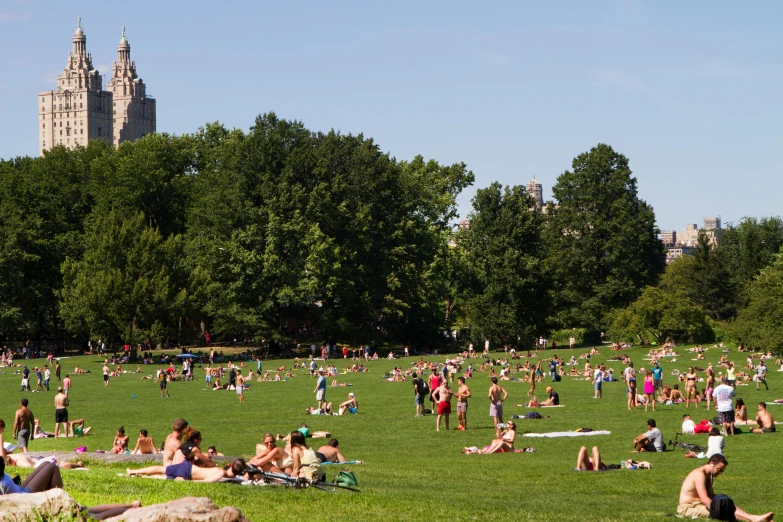 many people at the park in summer