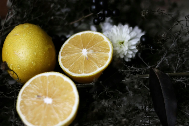 three lemons one sliced in half and two of the whole