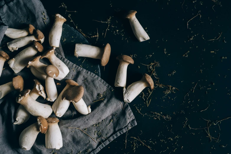 some pieces of meat and some mushrooms on a table