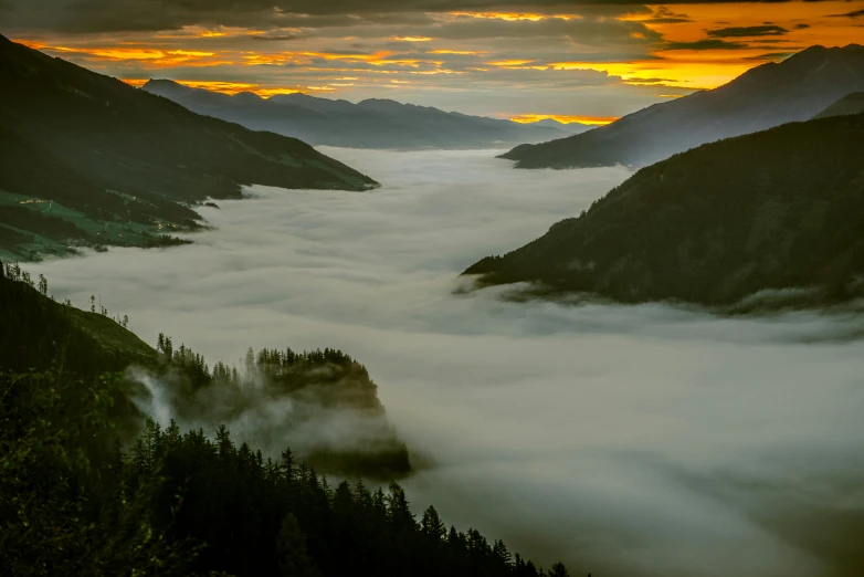 an image of a sunrise over a forest