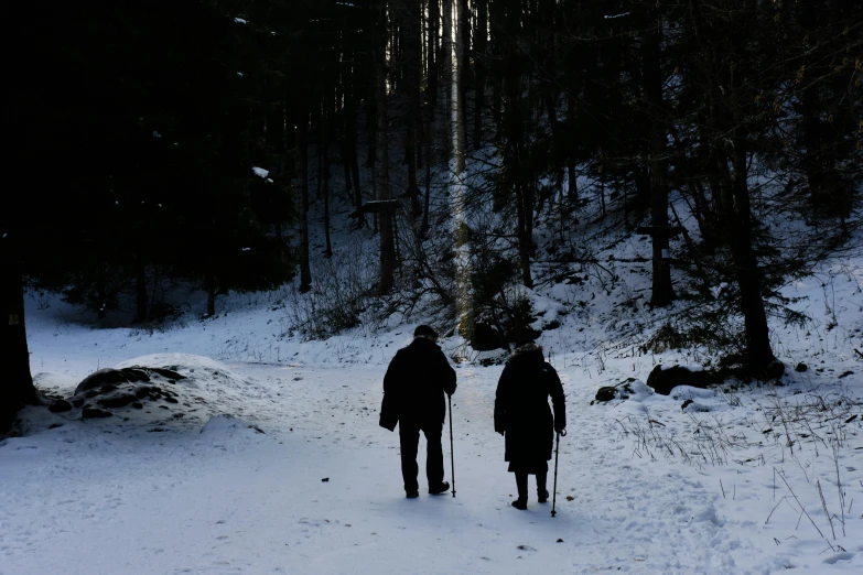 two people are walking through the snowy woods