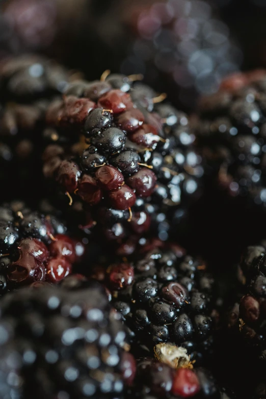 a close up view of some blackberries that have some water droplets on them