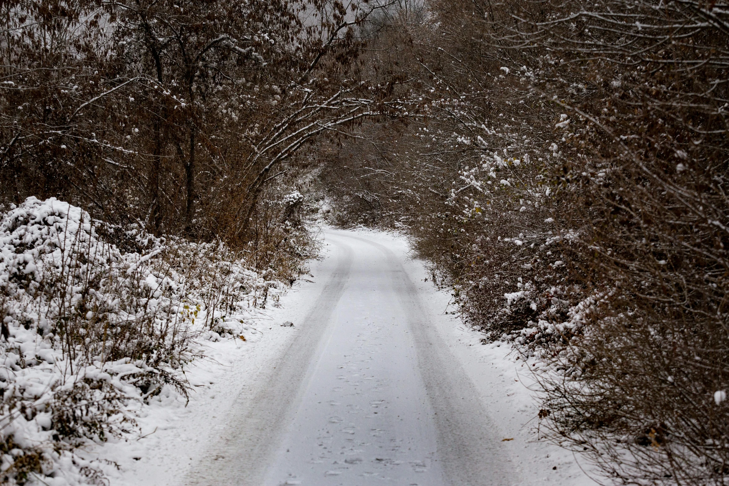 a very long and snowy road through a forest