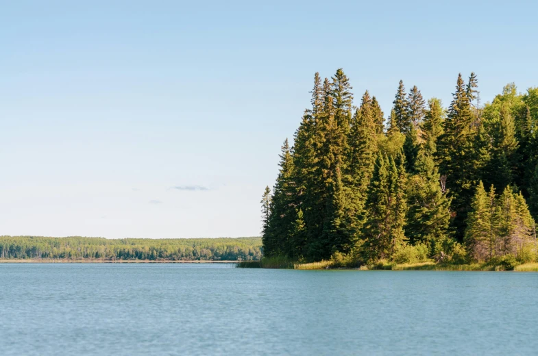 a lone boat sitting in a large lake near a forest