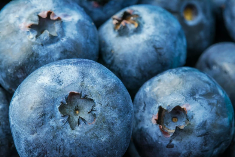 closeup view of the blueberries from above