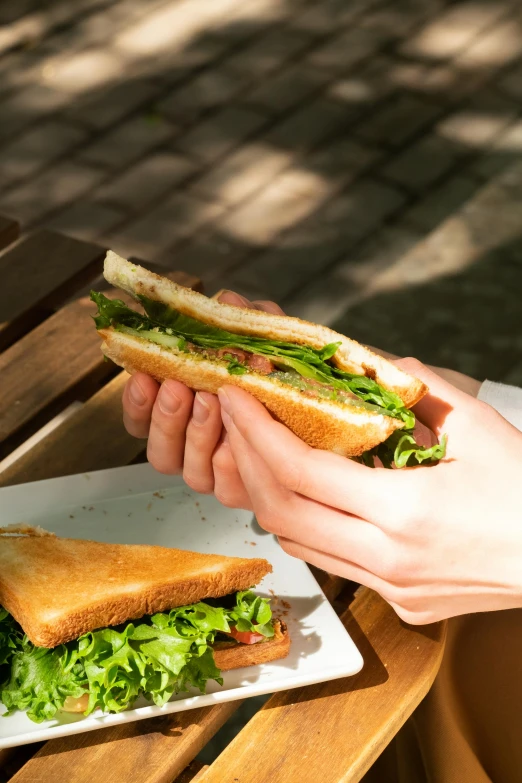 someone holding a sandwich cut in half and sitting outside