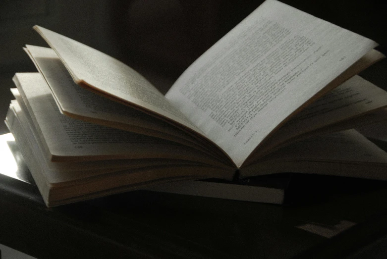 a close up of the pages of an open book