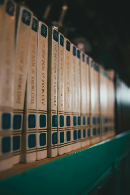 several rows of binders with blue labels in front of them