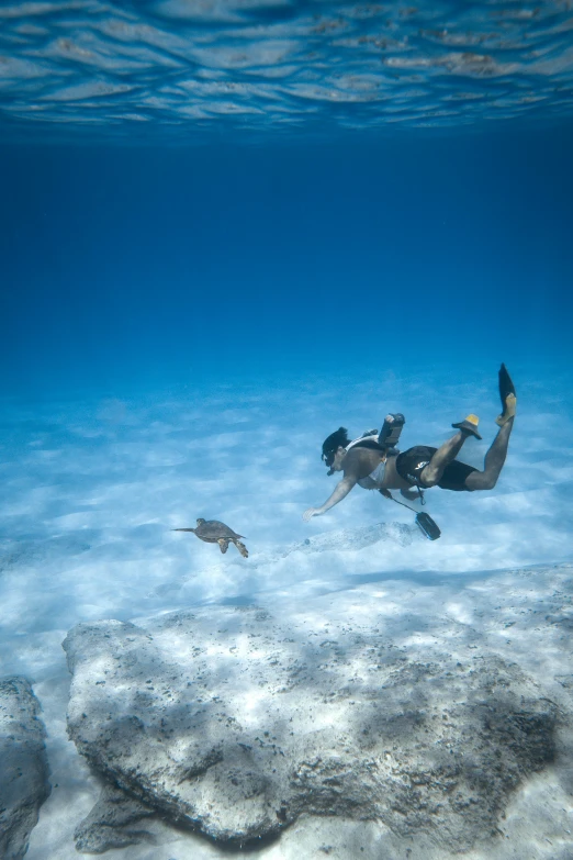 a person is swimming through some coral and sea