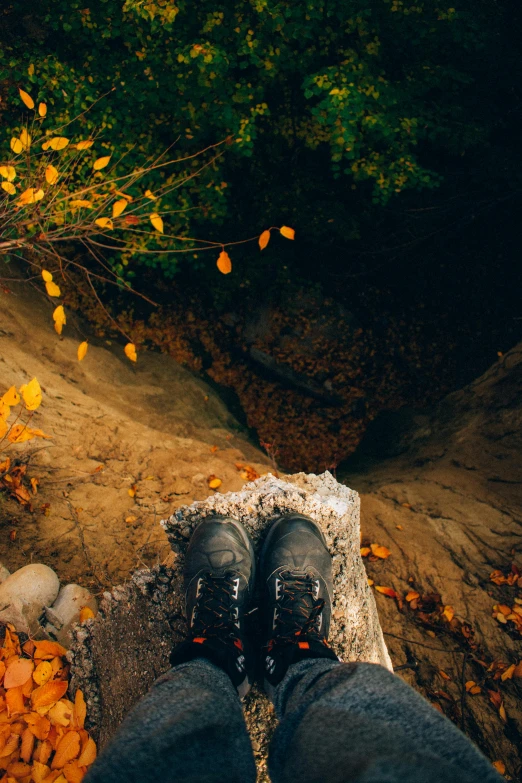 man standing on a piece of wood near trees