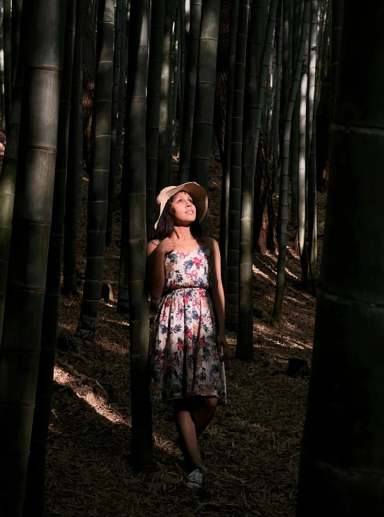 a woman in a dress is standing among many tall trees