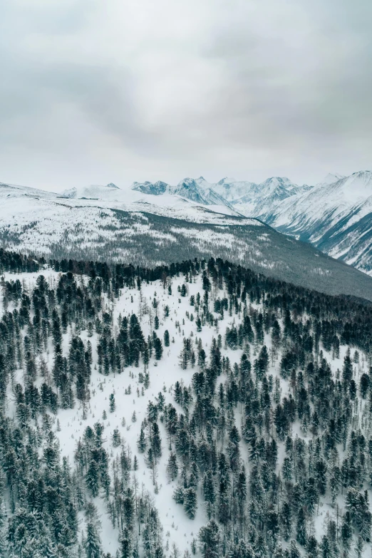 a snow covered mountain top with trees covered in snow