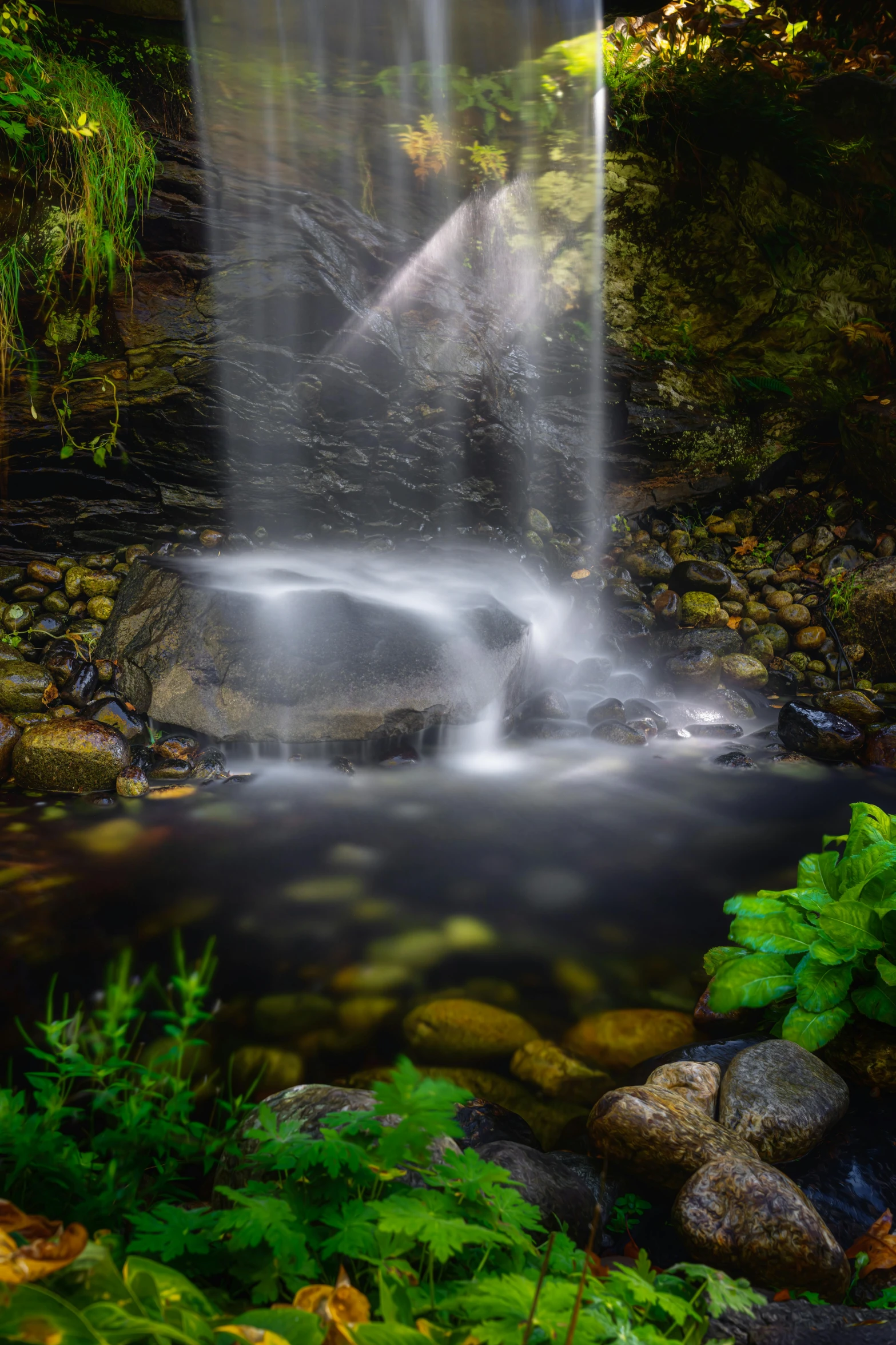 water gushing down the side of a lush green jungle