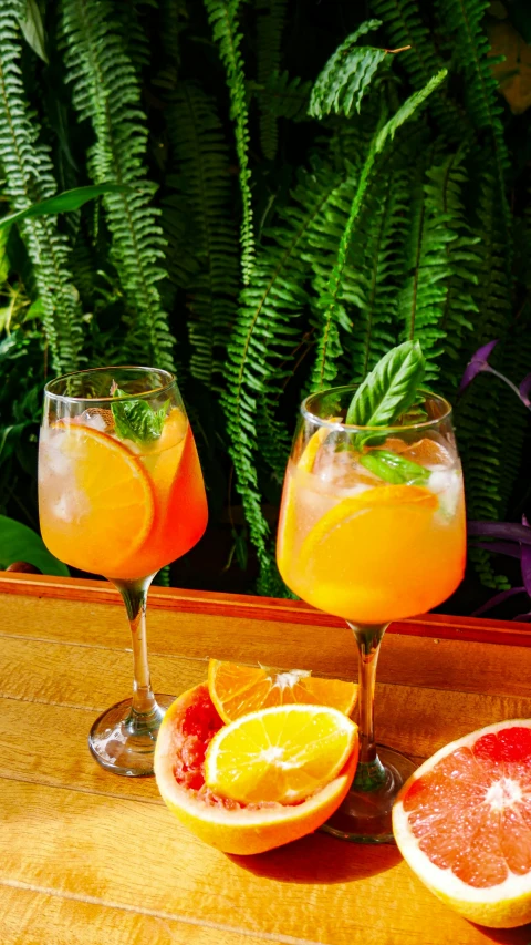 a close up of two wine glasses filled with oranges