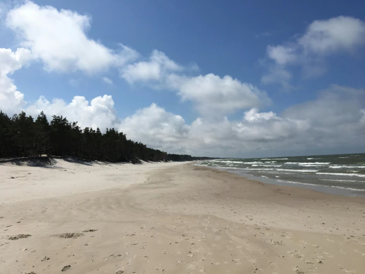 sandy beach with a wooded area on the side