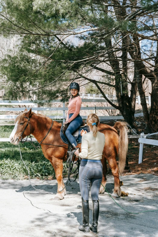 a horse and rider on a street next to a fence