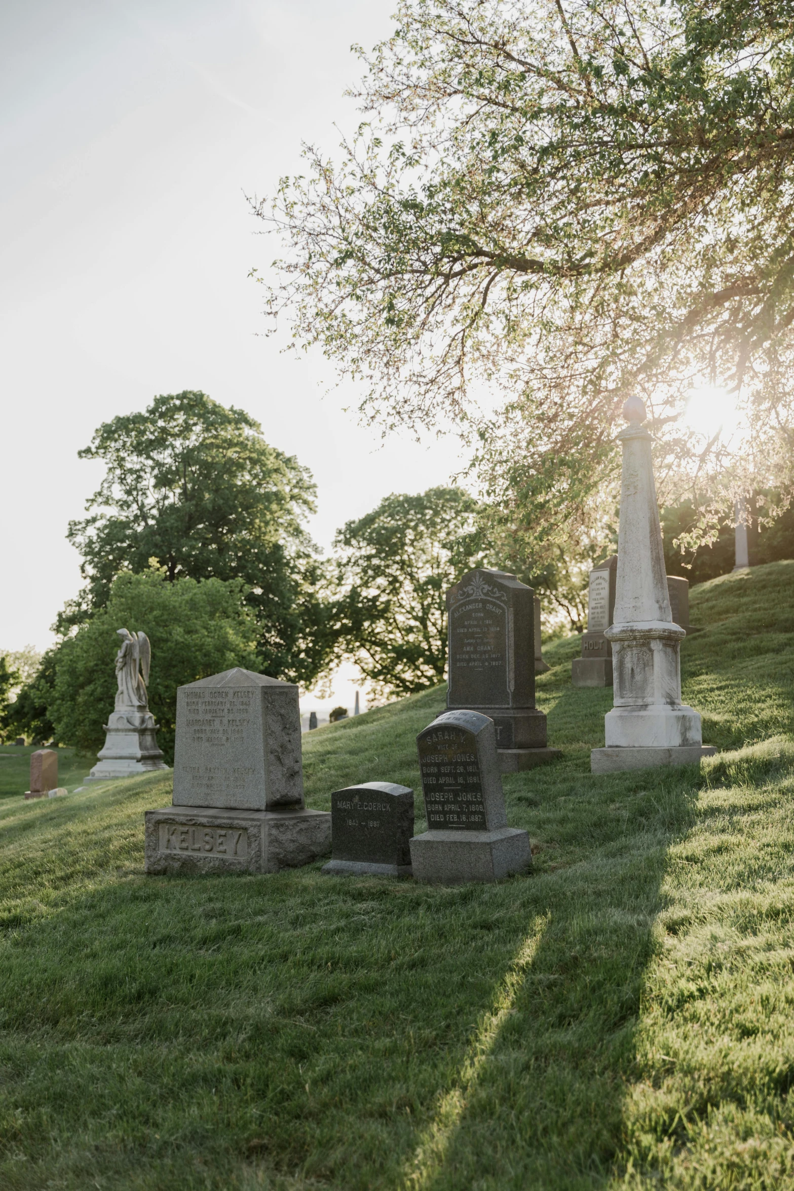 several headstones in grassy field next to trees