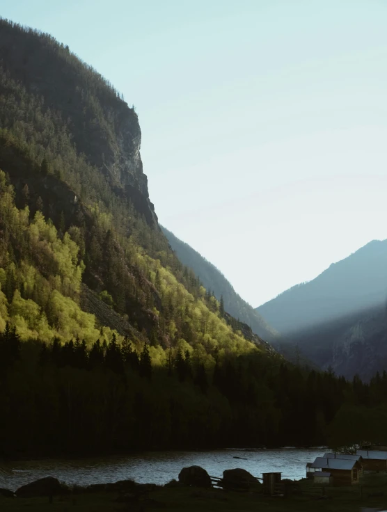 a hill that has a forest and trees on it