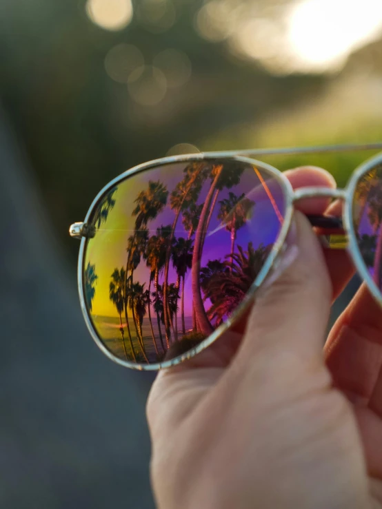 the palm trees reflect in their mirrored aviator sunglasses