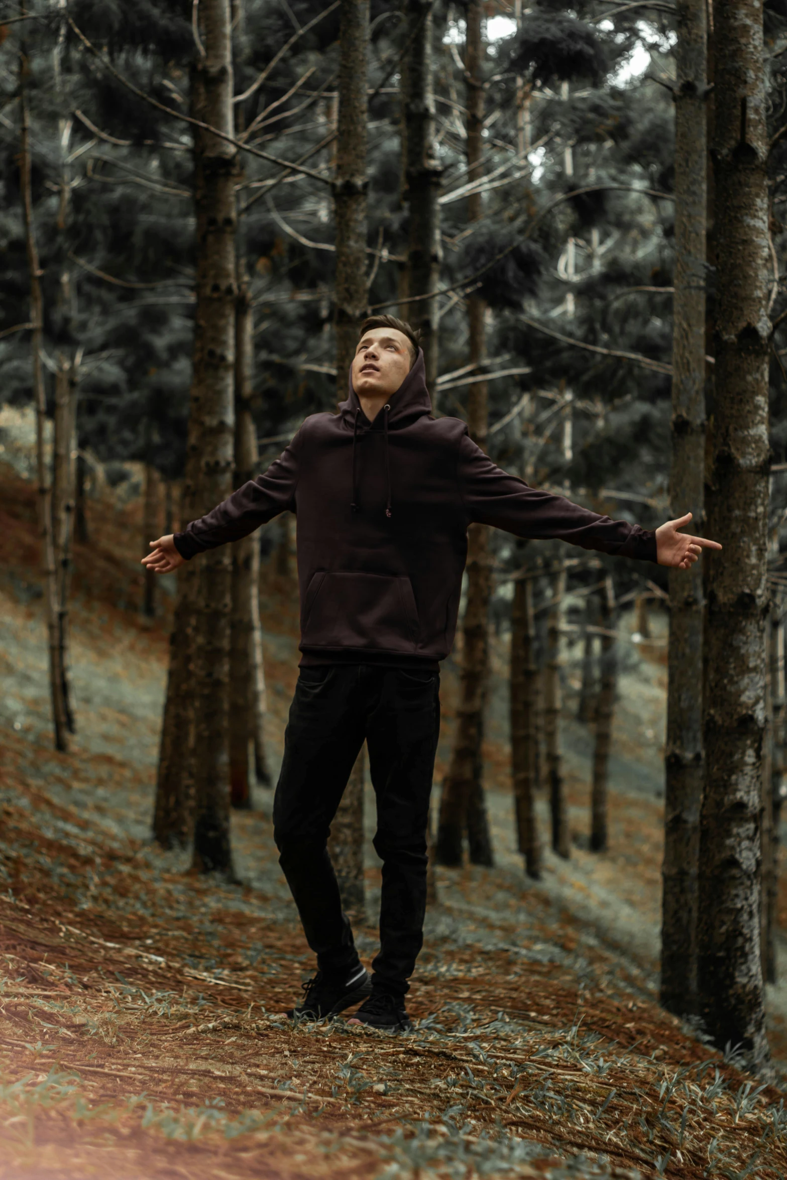 a man standing in the woods with his arms out