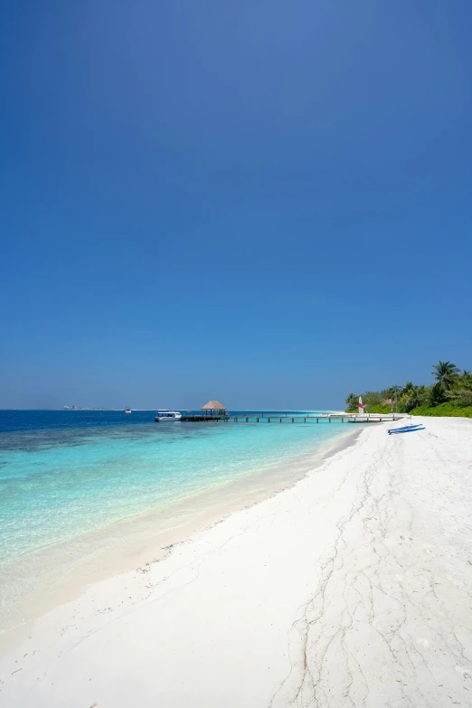 a beach scene with the blue ocean and clear skies