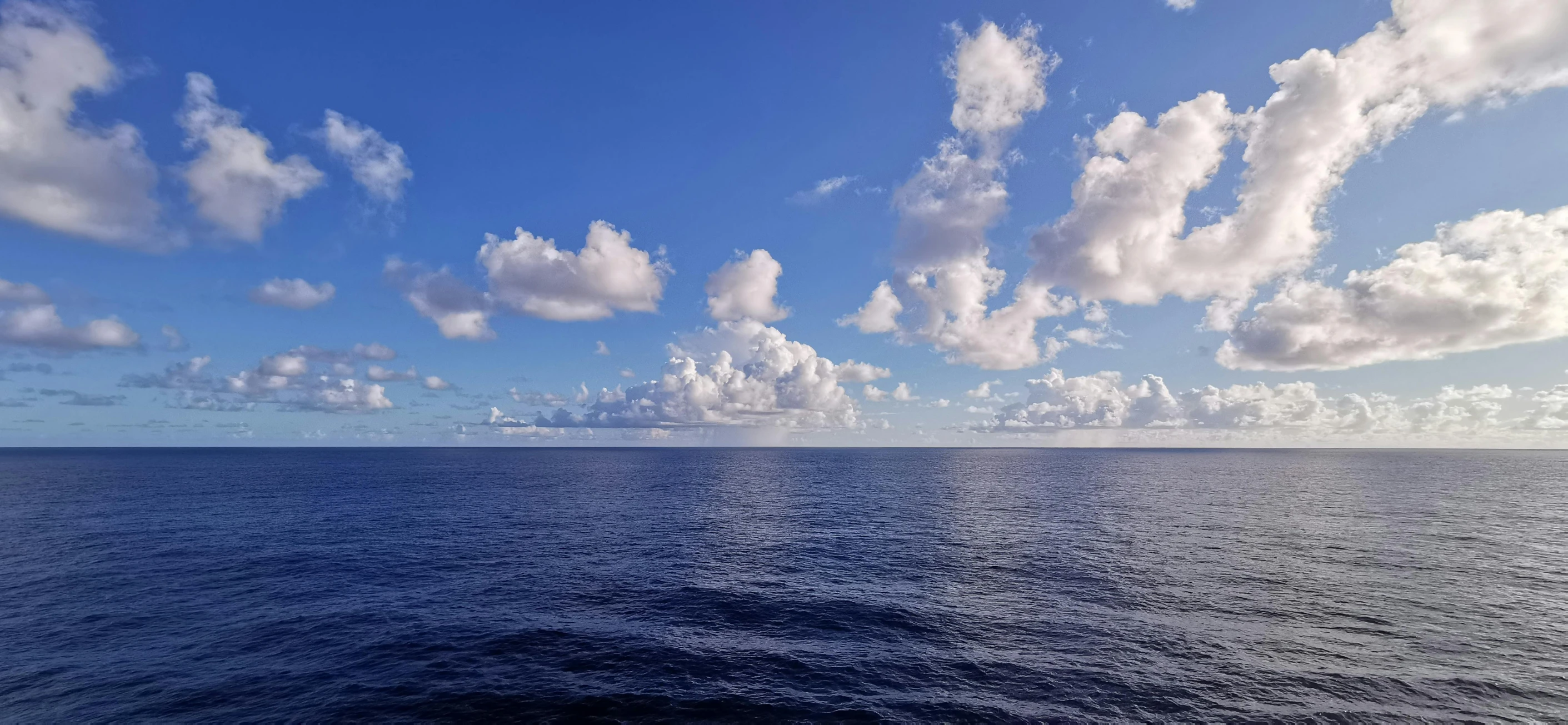 large body of water with white clouds flying overhead